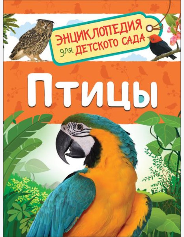 Птицы