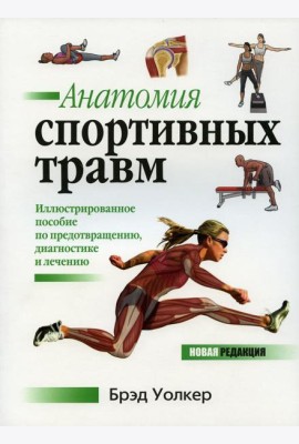 Анатомия спортивных травм