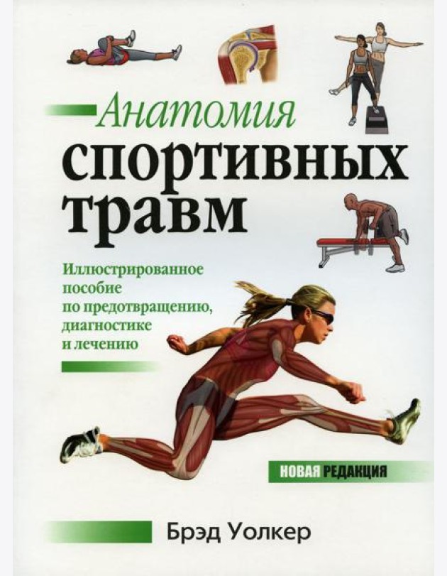 Анатомия спортивных травм