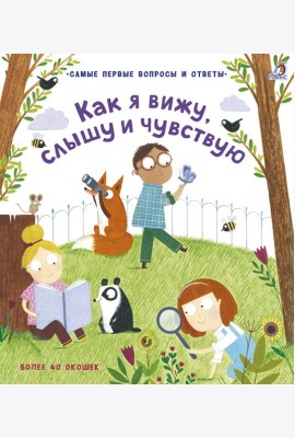 40 окошек. Как я вижу, слышу и чувствую