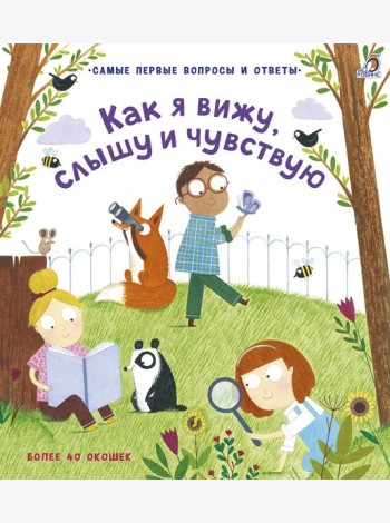 40 окошек. Как я вижу, слышу и чувствую