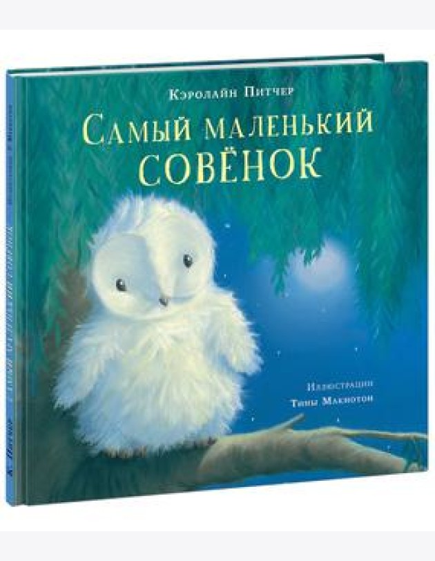 Самый маленький совёнок