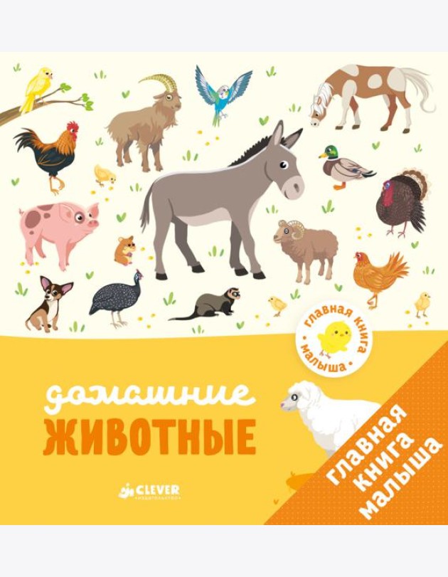 Главная книга малыша. Домашние животные