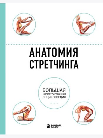 Анатомия стретчинга. Большая иллюстрированная энциклопедия