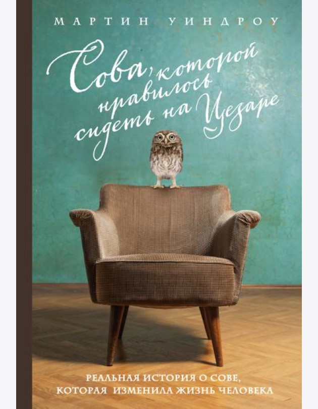 Сова, которой нравилось сидеть на Цезаре