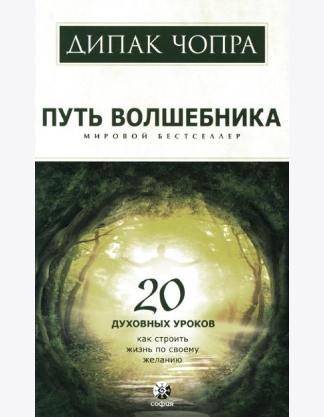 Путь волшебника: 20 духовных уроков. Как строить жизнь по своему желанию (обл.)