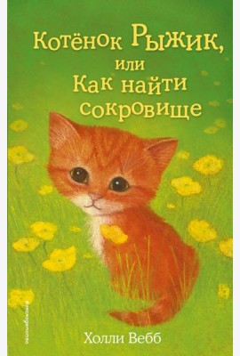 Котёнок Рыжик, или Как найти сокровище (выпуск 13)