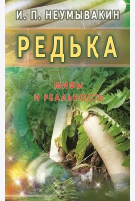 Редька. Мифы и реальность