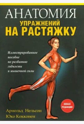 Анатомия упражнений на растяжку