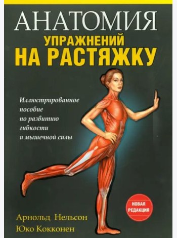 Анатомия упражнений на растяжку