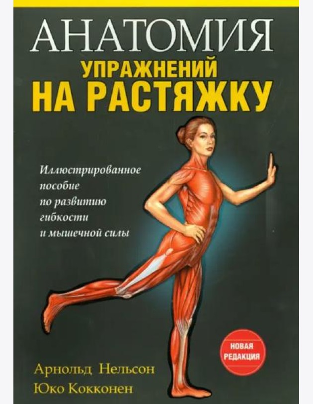 Анатомия упражнений на растяжку