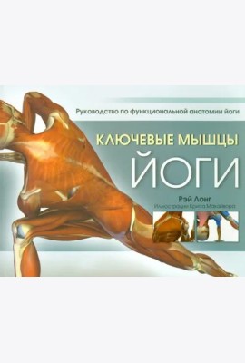 Ключевые мышцы йоги