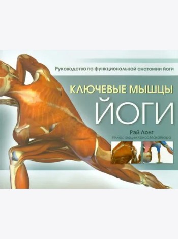 Ключевые мышцы йоги