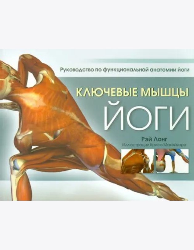 Ключевые мышцы йоги