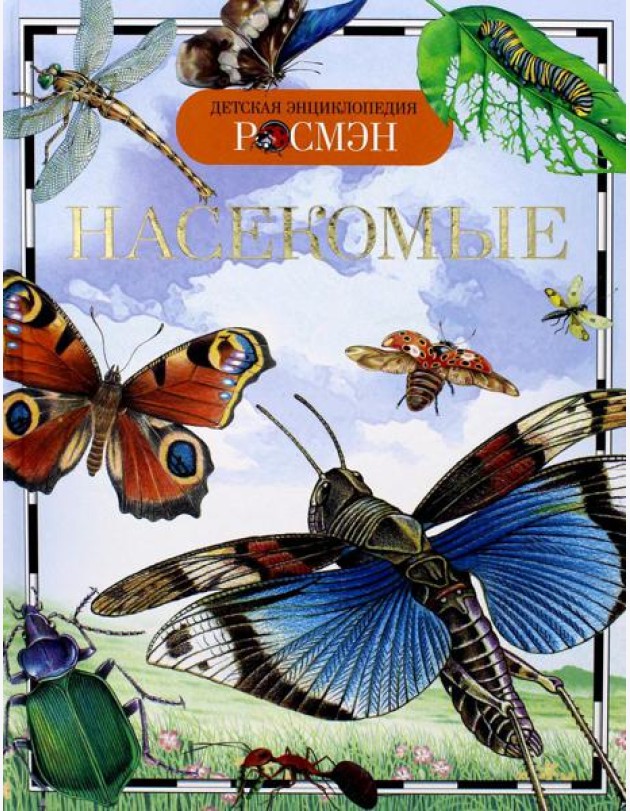 Насекомые