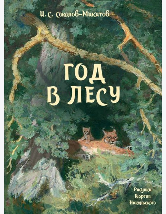 Год в лесу