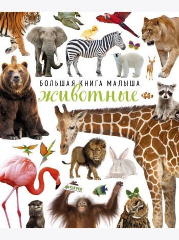 Большая книга малыша. Животные