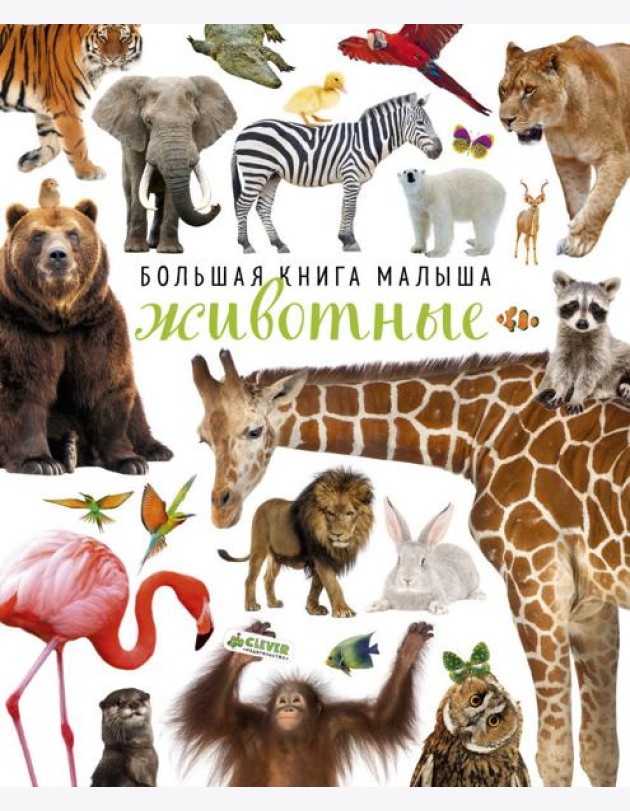 Большая книга малыша. Животные