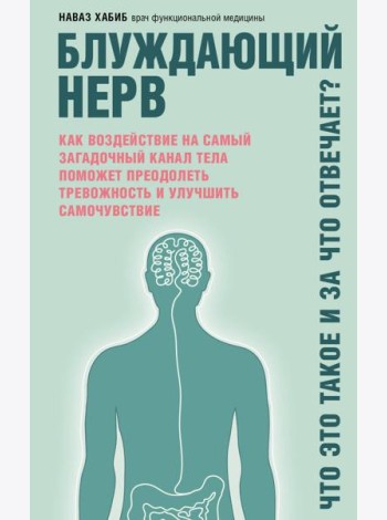 Блуждающий нерв. Что это такое и за что отвечает?