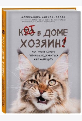 Кот в доме хозяин! Как понять своего питомца, подружиться и не навредить
