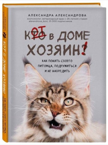 Кот в доме хозяин! Как понять своего питомца, подружиться и не навредить