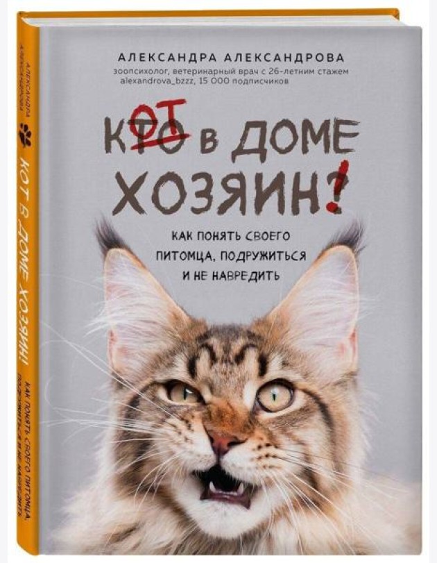 Кот в доме хозяин! Как понять своего питомца, подружиться и не навредить