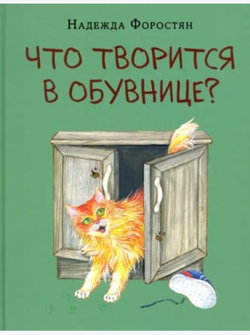 Что творится в обувнице?