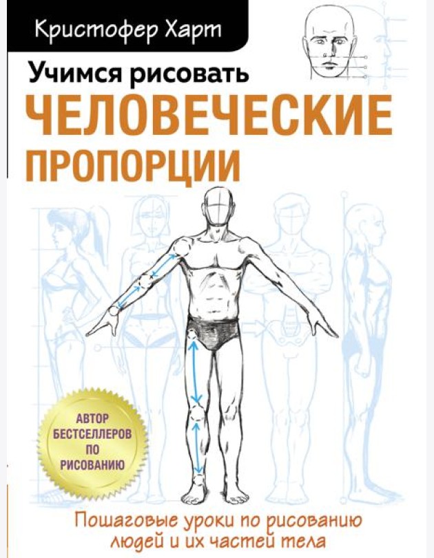 Учимся рисовать человеческие пропорции