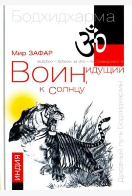 Воин, идущий к солнцу. Индия. Книга 1. Реки и горы Бодхидхармы