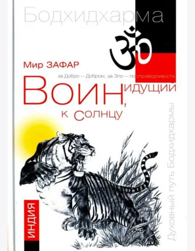 Воин, идущий к солнцу. Индия. Книга 1. Реки и горы Бодхидхармы