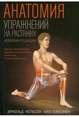 Анатомия упражнений на растяжку