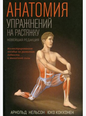 Анатомия упражнений на растяжку