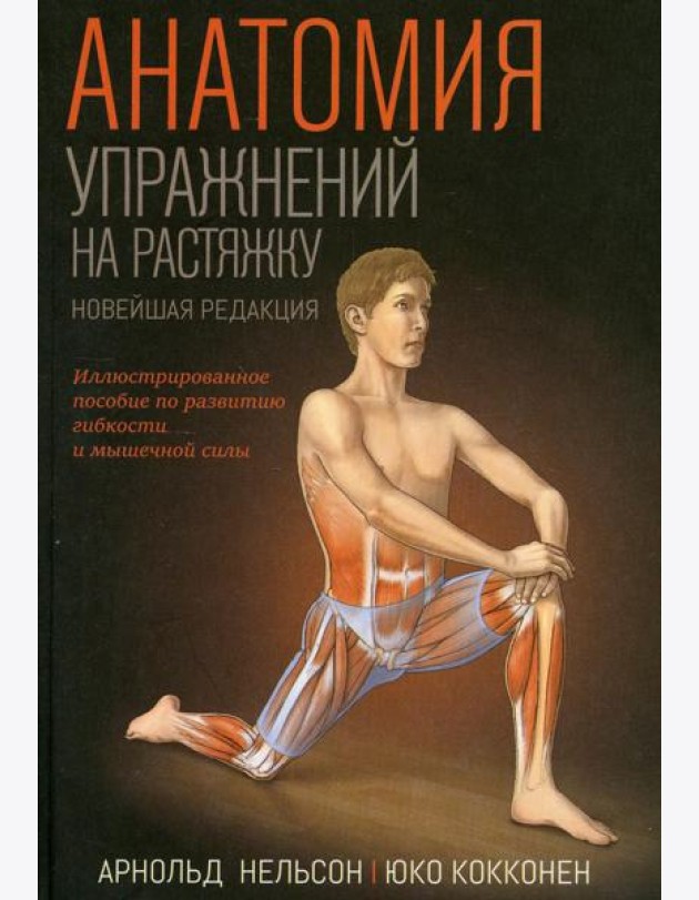 Анатомия упражнений на растяжку