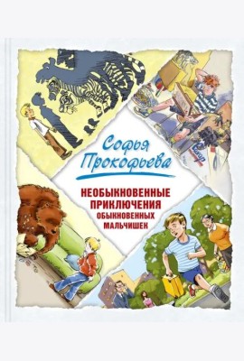 Необыкновенные приключения обыкновенных мальчишек