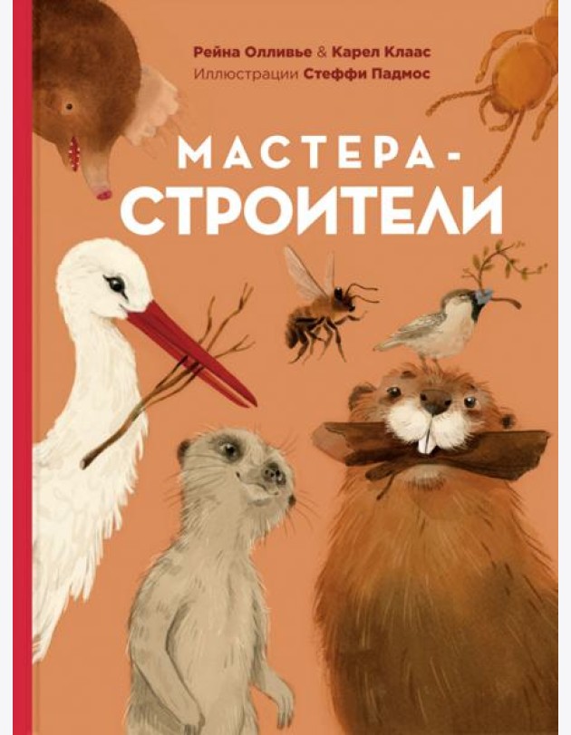 Мастера-строители