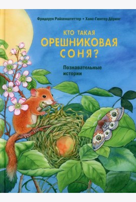 Кто такая орешниковая соня? Познавательные истории