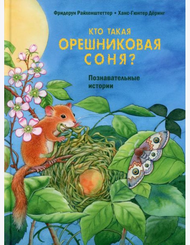 Кто такая орешниковая соня? Познавательные истории