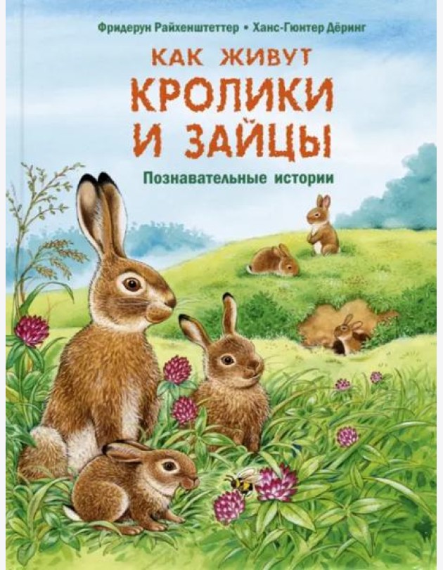Как живут кролики и зайцы. Познавательные истории