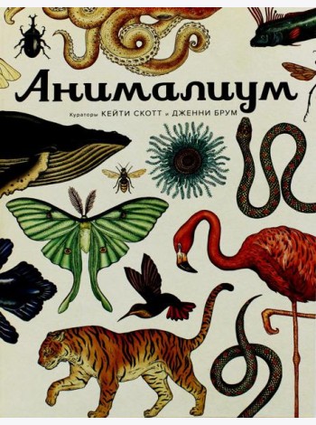 Анималиум