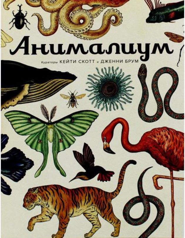 Анималиум