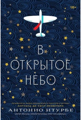 В открытое небо: роман