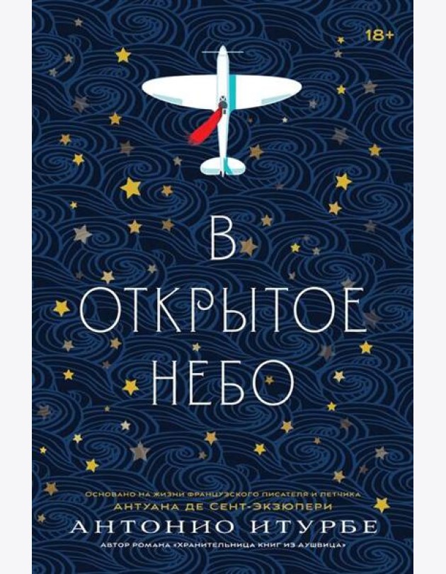 В открытое небо: роман