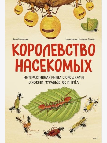 Королевство насекомых. Интерактивная книга с окошками о жизни муравьёв, ос и пчёл