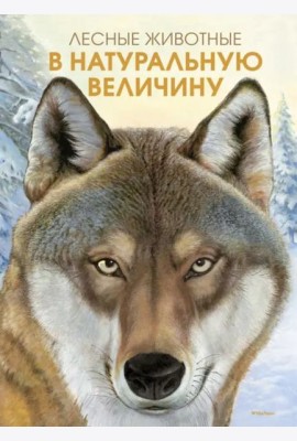 Лесные животные в натуральную величину