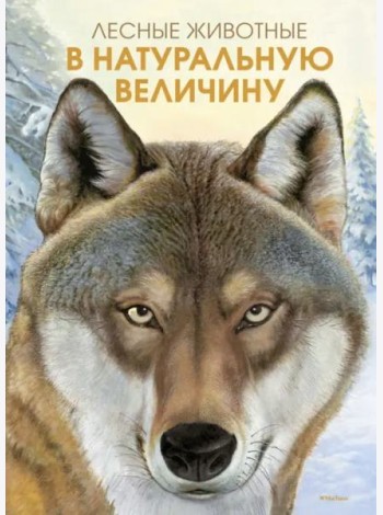 Лесные животные в натуральную величину