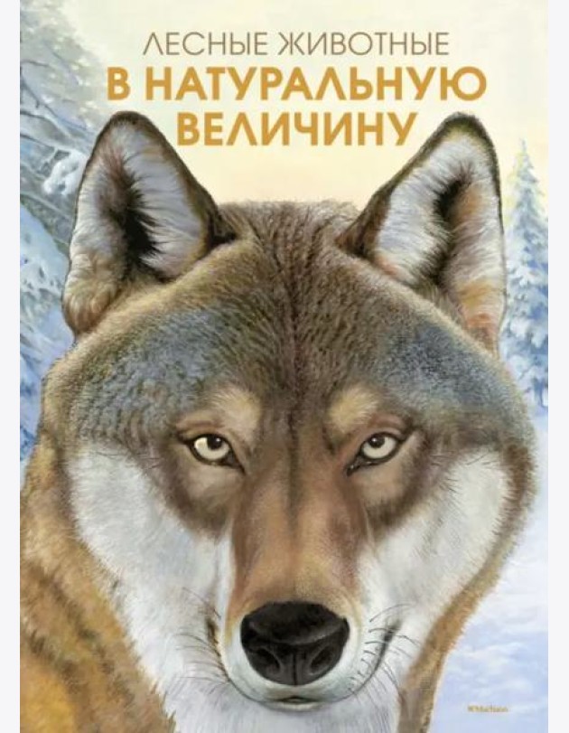 Лесные животные в натуральную величину