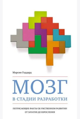 Мозг в стадии разработки: Потрясающие факты об умственном развитии от зачатия до взросления