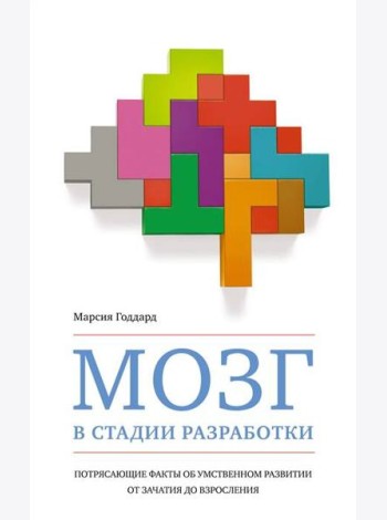 Мозг в стадии разработки: Потрясающие факты об умственном развитии от зачатия до взросления