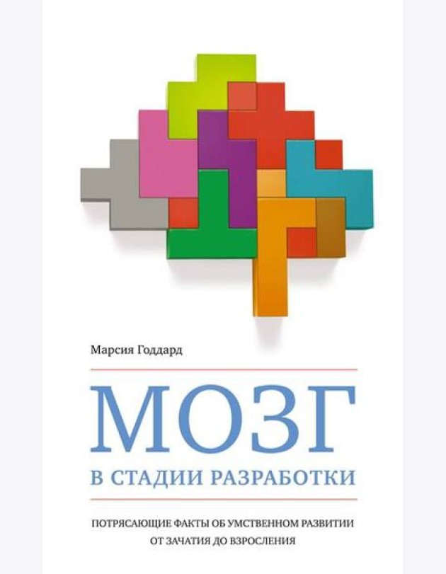 Мозг в стадии разработки: Потрясающие факты об умственном развитии от зачатия до взросления