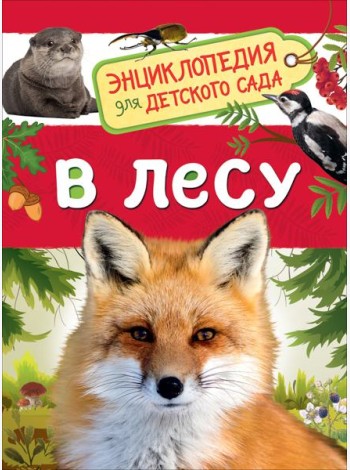 В лесу